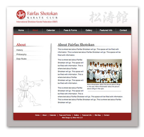 Northern Virginia Website Development, Silver Arts LLC, Web Designer Northern VA, Custom Web Design, Tammy McGorry, Tami Cornejo